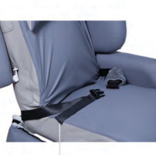 Seat Belt - Suit Princess Deluxe Bed/ Chair