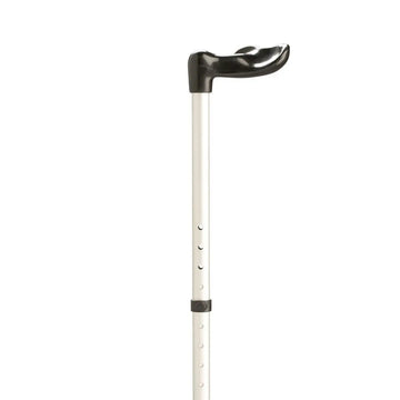 Walking Sticks