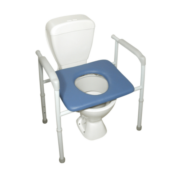 toilet with a toilet surround over it with support arms and a seat