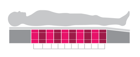 AriaPlus Cells