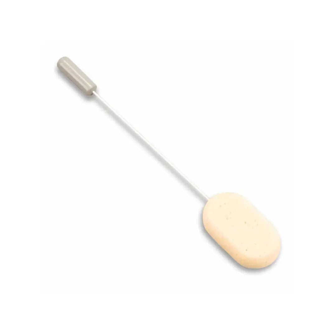 a long wire with a sponge on one end and a handle on the other end